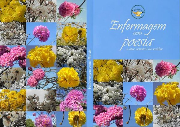 livro-600x424